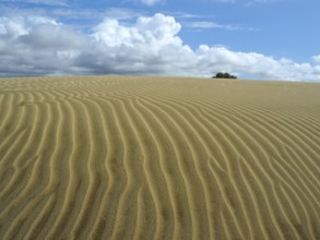 Sand dunes with wave-like textures under a cloudy sky, Maspalomas dunes, Gran Canaria, Canary