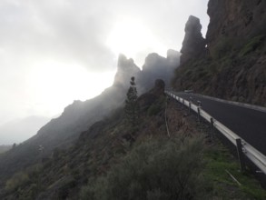 Mountain road on steep rocks in foggy weather, Cruz Grande, Gran Canaria, Canary Islands, Canary