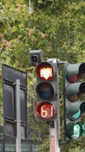 Traffic light for pedestrians with eagle symbol of the Albanian flag and countdown display against
