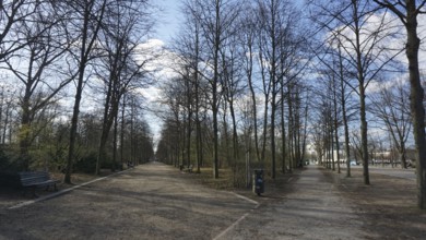 Tiergarten in Berlin surrounded by bare trees under a blue sky deserted without people during