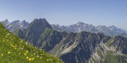 Mountain panorama with troll flowers (Trollius europaeus) from Laufbacher-Eckweg to Höfats, 2259m,