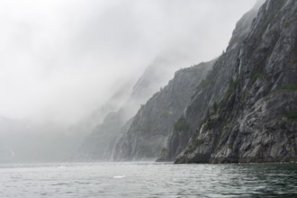 Mystical fog wraps around rock walls in a fjord, Northwestern Fjord, Kenai Fjords National Park,