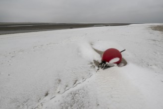 Red buoy on snowy beach, Langeoog, Lower Saxony, Germany