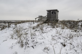 Dune landscape with bird watching station in snow, Langeoog, Lower Saxony, Germany