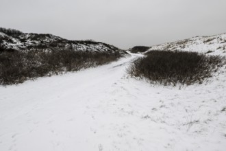 Dune landscape in snow, Langeoog, Lower Saxony, Germany