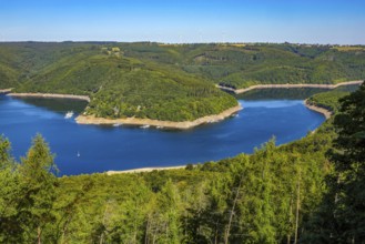 Heimbach, North Rhine-Westphalia, Germany — Eifel National Park. Hirschley view of the Eifel.