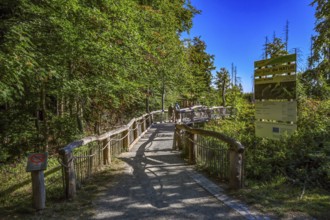 Schleiden, North Rhine-Westphalia, Germany — Eifel National Park. Barrier-free Wilder Kermeter