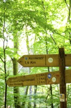 Schleiden, North Rhine-Westphalia, Germany — Eifel National Park. Information sign, Heimbach,