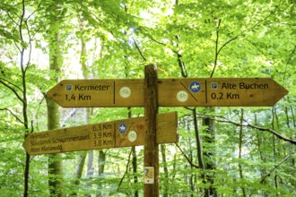 Schleiden, North Rhine-Westphalia, Germany — Eifel National Park. Information sign, Heimbach,