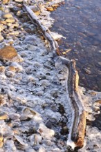 Ice on a lakeside lake, winter, Germany