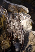 Ice on a lake on the shore, winter, Germany
