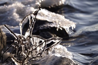 Ice on a lakeside on a tree branches, winter, Germany
