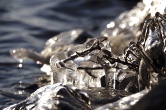 Ice on a lake on a plant, winter, Germany