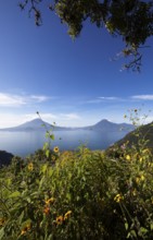 Lake Atitlán or Lake Atitlán in the morning, in the back the volcanoes San Pedro, Atitlán and