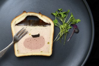 Battered pate on plate with microgreen