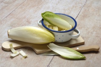 Chicory, chicory salad on wooden board with knife