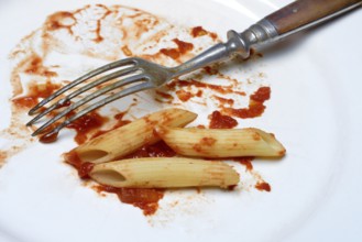 Plate with fork and leftover pasta, penne and tomato sauce, food waste