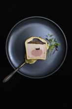 Battered pate on plate with microgreen