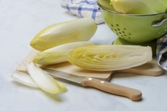 Chicory, chicory salad on plate with knife