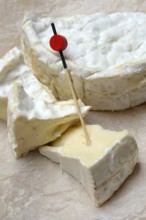 French Camembert in pieces, France