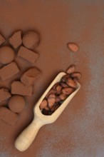 Cocoa beans in wooden scoop, cocoa powder and chocolate chocolates