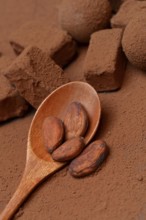 Cocoa beans in wooden spoons, cocoa powder and chocolate pralines