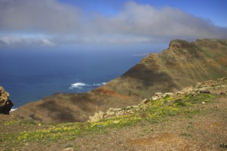 Mountainside with flowers and sea views, under blue sky with clouds, Mirador de Ermita de Las