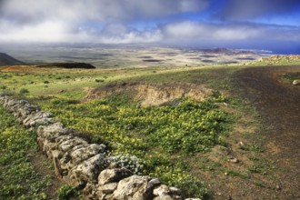 Wide meadow landscape with flowers and clouds, partly sunny, Mirador de Ermita de Las Nieves,