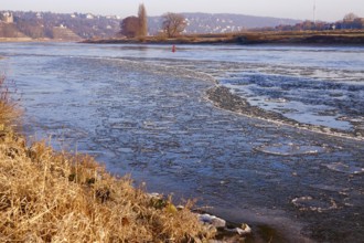Elbe with ice, winter, Dresden, Saxony, Germany