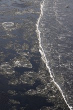 Elbe with ice, winter, Dresden, Saxony, Germany