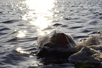 Elbe with ice on a rock, winter, Dresden, Saxony, Germany