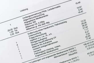 Germany - January 20th 2026: Close up of German veterinary bill with detailed medicine and