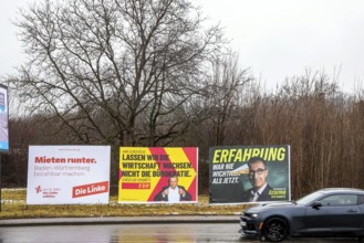 Large posters of the parties Die Linke, FDP, Grüne am Strassenrand. Top candidate Cem Özdemir.