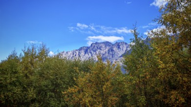 A mountain peak rises majestically above autumn-colored trees, Stepantsminda, Georgia