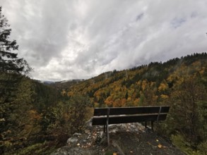A bench stands on a rock with a view of an autumn forest and cloudy sky