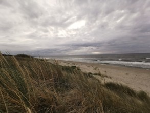 Sandy dunes on the beach with cloudy sky and rough sea in the background, Baltic Sea, fresh spit,