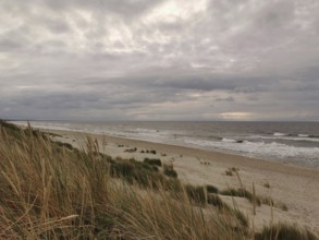A cloudy beach with dunes in the foreground and gentle waves in the sea, Baltic Sea, fresh spit,