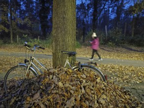 A bicycle is leaning against a tree next to a pile of leaves in the park at dusk, a woman walks