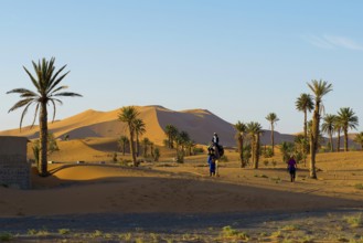 Sand dunes, sunrise, near Merzouga, Meknès-Tafilalet region, Erg Chebbi, northern Sahara, Morocco