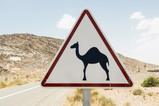 Traffic sign Attention Camels, near Merzouga, Meknès-Tafilalet region, Erg Chebbi, northern Sahara,