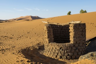 Fountains and sand dunes, near Merzouga, Meknès-Tafilalet region, Erg Chebbi, northern Sahara,