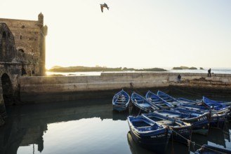 Fishing boats, fishing port, sunset, Essaouira, UNESCO World Heritage Site, Atlantic coast, Morocco