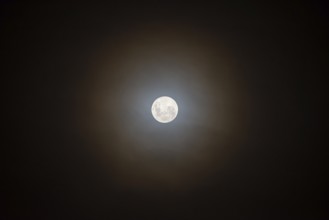 Full moon in the sky with courtyard