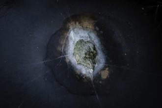 Mossy rock surrounded by ice in a frozen lake, Finland