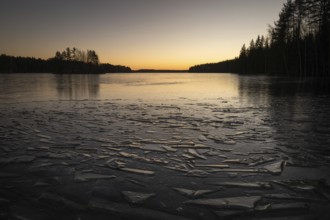Ice formation on the shore of a freezing lake, forest, sunrise, winter, Hartola, Finland