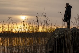 Woman in winter clothes standing on a rock on a lakeside covered with reeds, sunset, winter mood,