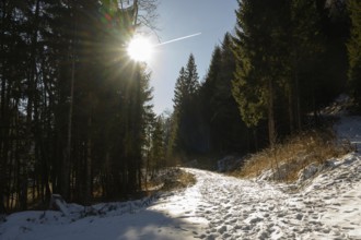 Hiking trail, snow, morning sun, airplane, Carinthia
