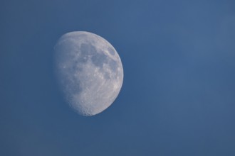 Detailed image of the waxing moon with visible craters and spots during the day, dividing line