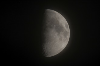 Detailed image of the waxing moon with visible craters and spots at night, dividing line between