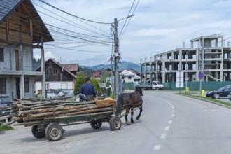 Horse-drawn carriage with logs on the road, Vorone?, Buckowina, Romania